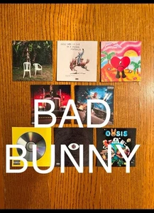Bad Bunny Kühlschrankmagnete - Bild 1 von 10