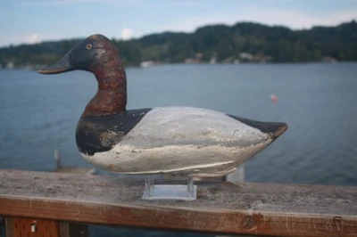 Canvasback Drake, unknown, Chesapeake Bay?, solid wood, high head, repaint. - Image 1 of 4