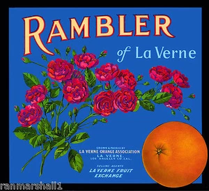 Rambler of La Verne Lordsburg Orange Citrus Fruit Crate Label Vintage Art Print - Picture 1 of 1