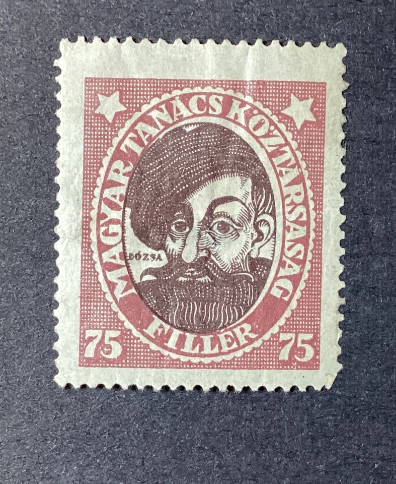 Estampillas de Hungría 1919 #202 Gyorgy Dzosa MH Foto 1 de 1