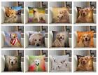 Golden Retriever Dog Short Plush Sofa Decor Cushion Cover Pillowcase Home Decor