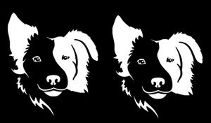 Border Collie 2 White Vinyl Dog Decal Car Truck Windows Laptop Camper Notebook - Picture 1 of 2