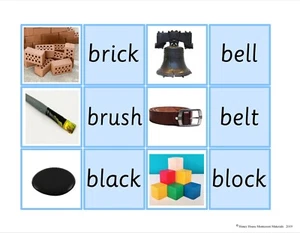 Montessori Blue Series Word and Picture Cards - Picture 1 of 1