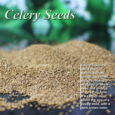CELERY SEEDS ORGANIC REAL SUPERFOOD PURE NATURAL PREMIUM QUALITY Tasty Nutritiou • 4.99$