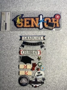 LOTE de pegatinas y calcomanías para álbumes de recortes de graduación - NUEVO (S14) - Imagen 1 de 3