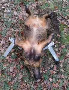 Wildgalgen am Boden :) , Aufbrechhilfe, Fixiergestell K100.11-15, kein Umkippen - Bild 1 von 8
