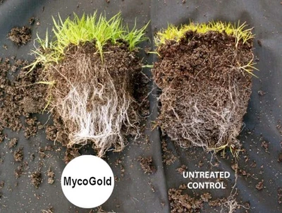 MycoGold - The most complete mycorrhizal fungi available. - image 1 of 4