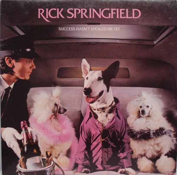 Success Hasn't Spoiled Me Yet LP Record Rick Springfield Vinyl 33 RPM - Image 1 of 1