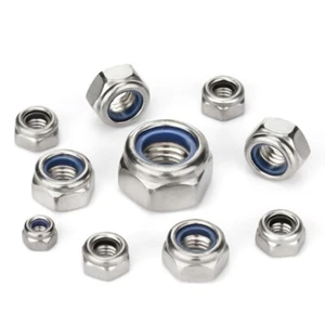 304 A2 Stainless Steel Nylon Insert Locking Nuts DIN985 M2M2.5M3M4M5M6M8M10M12-M - Picture 1 of 6