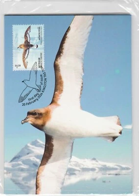 Australian ANTARCTIC 2024 Antarctic PETREL Birds MAXICARD Sealed set of 4 cards - Image 1 of 2