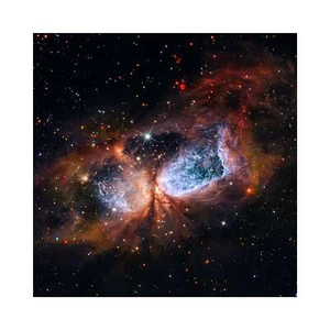 Constellation Cygnus, The Swan, NASA Space Art, Canvas Print, 24" x 24" + Border - Picture 1 of 10