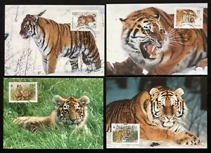RUSSIA 1993 The Tiger set of 4 maxi card FDCs, World Wildlife Fund (K1275) - Picture 1 of 2