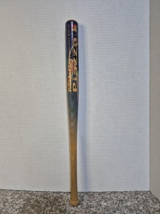 2000 MIKE PIAZZA Coopersburg Baseball Mini Player Bat Limited Edition 18" - Picture 1 of 5