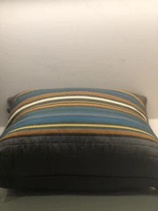 Pendleton Olympic National Park gestreiftes dekoratives Kissen 20 x 20 Zoll grau bunt - Bild 1 von 3