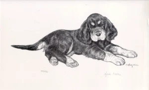 Gordon Setter Limited Edition Art Print by Heidi Moon* - Picture 1 of 1