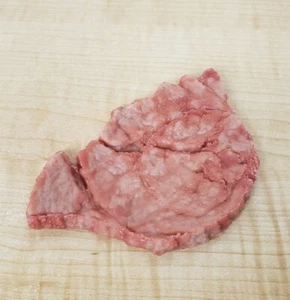 Life Form Nasco replica cibo nutrizione carne a fette foto film prop display - Foto 1 di 8
