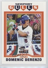 2017 Choice Newport Gulls Domenic Derenzo #07