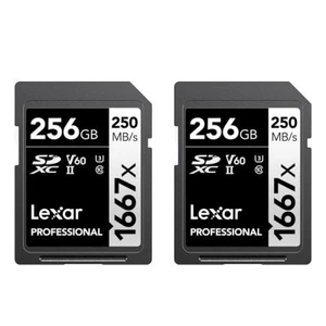 Lexar Professional 1667x 256GB SDXC UHS II Card 250MBs 4K Video Support - Picture 1 of 7
