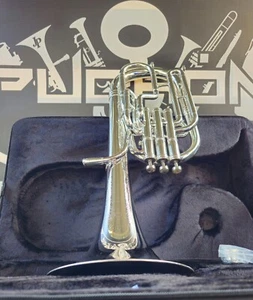 JP Solario Pakal 421 Silver Eb Alto Horn (8.50" Big Bell) - Picture 1 of 22