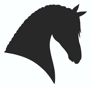 Testa di cavallo VI in acciaio 3mm 10cm-40cm, la decorazione speciale per gli amici dei cavalli - Foto 1 di 1