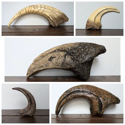 Dinosaur Claw Replica | Raptor | Spinosaurus | Tyrannosaurus | Iguanodon - Image 1 of 4