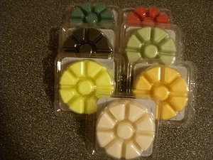 Partylite 1 caja JUNIPER CITRUS MENTA AROMA PLUS Aroma Derretido Nuevo en caja - Imagen 1 de 1