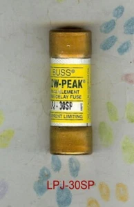 BUSS LPJ-30SP SICHERUNG 30 AMP 600 VOLT LPJ-30SP - Bild 1 von 2