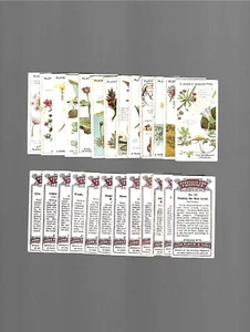 CIGARETTE CARDS.Player Tobacco.Struggle For Existence (Plants.(Set of 25).(1923) - Picture 1 of 1