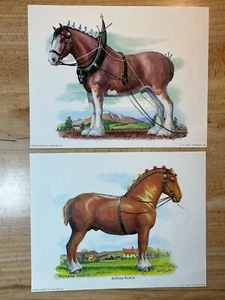 2 Vtg Clydesdale Suffolk Punch Horse Poster Painting Print Decor Arthur Banks UK - Picture 1 of 10