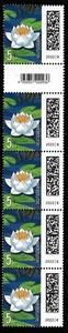 mundo de las cartas 3644 rosa marítima 5 tiras con nº y código EAN, - Imagen 1 de 2