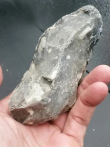 Unterpaläolithikum Frankreich Messerschaber Kiesel Kultur berühmter Ort Wimereux - Bild 1 von 22