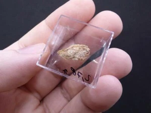 FD MINERALES: Mineral exclusivo de EUXENITA (Y) - Ankisabe - Madagascar - er 419 - Imagen 1 de 3