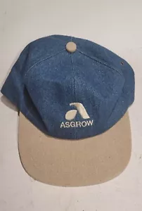 Asgrow Soybeans Baseball Hat Mens Blue jean Snapback Embroidered Cap Farming USA - Picture 1 of 3