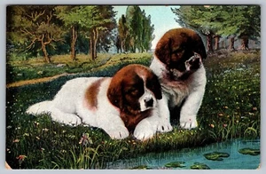 Vintage St Saint Bernard Puppies Postcard - M2 - Picture 1 of 2