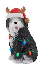  HOME DEPOT 30" LED Pre-Lit Christmas Santa Sheep Dog With Antlers Blow Mold 