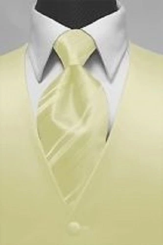 Brand New Luxury Premiere Tuxedo Vest & Striped Necktie - Image 1 of 1