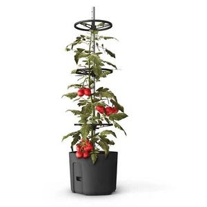 3x Tomatenpflanztopf mit Rankhilfe Anthrazit Tomatentopf Blumentopf Pflanztopf - Bild 1 von 5