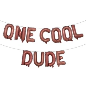 One Cool Dude 1st Birthday Decorations Baby Boy First Birthday Balloon Garlan... - Picture 1 of 3