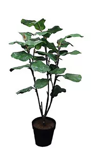 Real Touch Lush Fiddle Leaf Tree - 5ft - Picture 1 of 1
