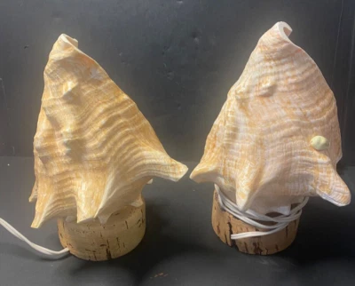Par de luces de mesa/luz nocturna eléctricas hechas a mano concha marina **RARO** Foto 1 de 4