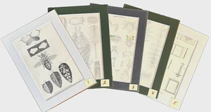 Jardine 1836-1843 HONEY BEES Lot of FIVE Steel Engravings/Insects/5x7"/Matted - Picture 1 of 6