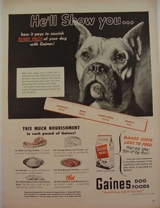 1949 BOXER DOG GAINES DOG FOOD PHOTO Print Ad - Picture 1 of 1