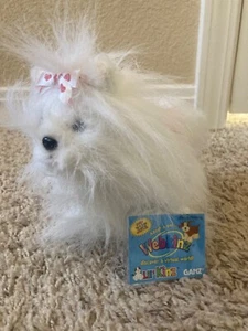 Webkinz YORKIE new with sealed/unused code by Ganz - Picture 1 of 2
