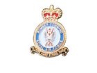 RAF Bomber Lapel Pin Royal Air Force Military Badge