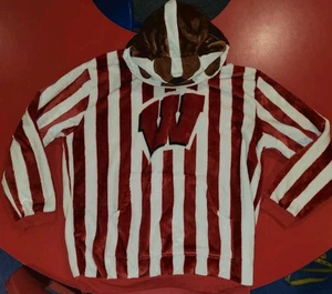 Plushible Wisconsin Badgers Mascot Oversize One Size Hoodie Plush Warm RARE - Picture 1 of 9