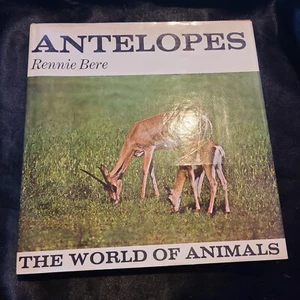 Antelopes Hardcover Rennie Montague Bere 1970 VINTAGE - Imagen 1 de 5