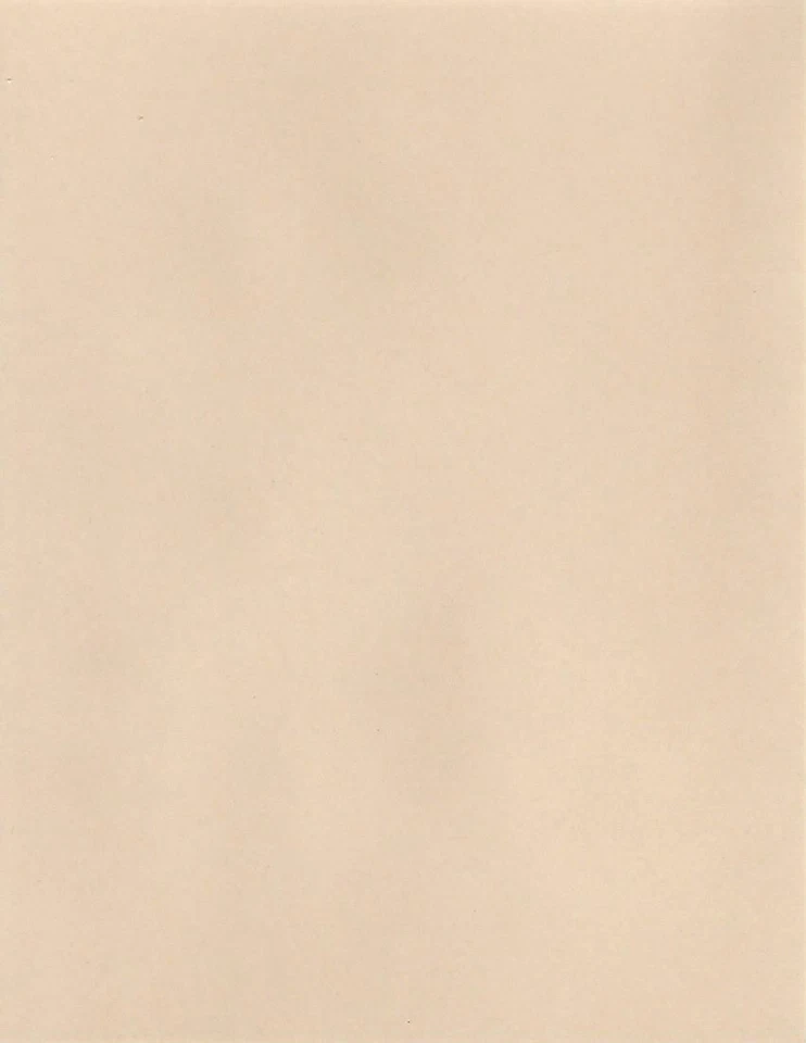 NATIONAL TARGET Ledger Size Blank Official NRA Target Paper or Tagboard, [11" x 17"]