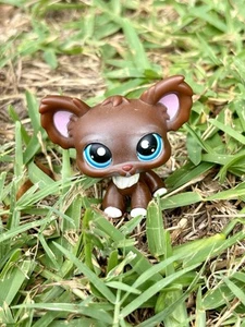 LPS Hund, Littlest Pet Shop, antike LPS, 2010, grüne Augen, süß, Mini Hundefigur - Bild 1 von 6