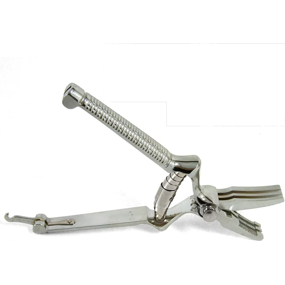 MASTICATORE LAMA CURVA ACCIAIO CROMATO MADE IN ITALY 18 CM - Immagine 1 di 1