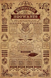 Poster Harry Potter Quidditch At Hogwarts Wandposter Plakat Film Neu 61x91,5 cm - Bild 1 von 1